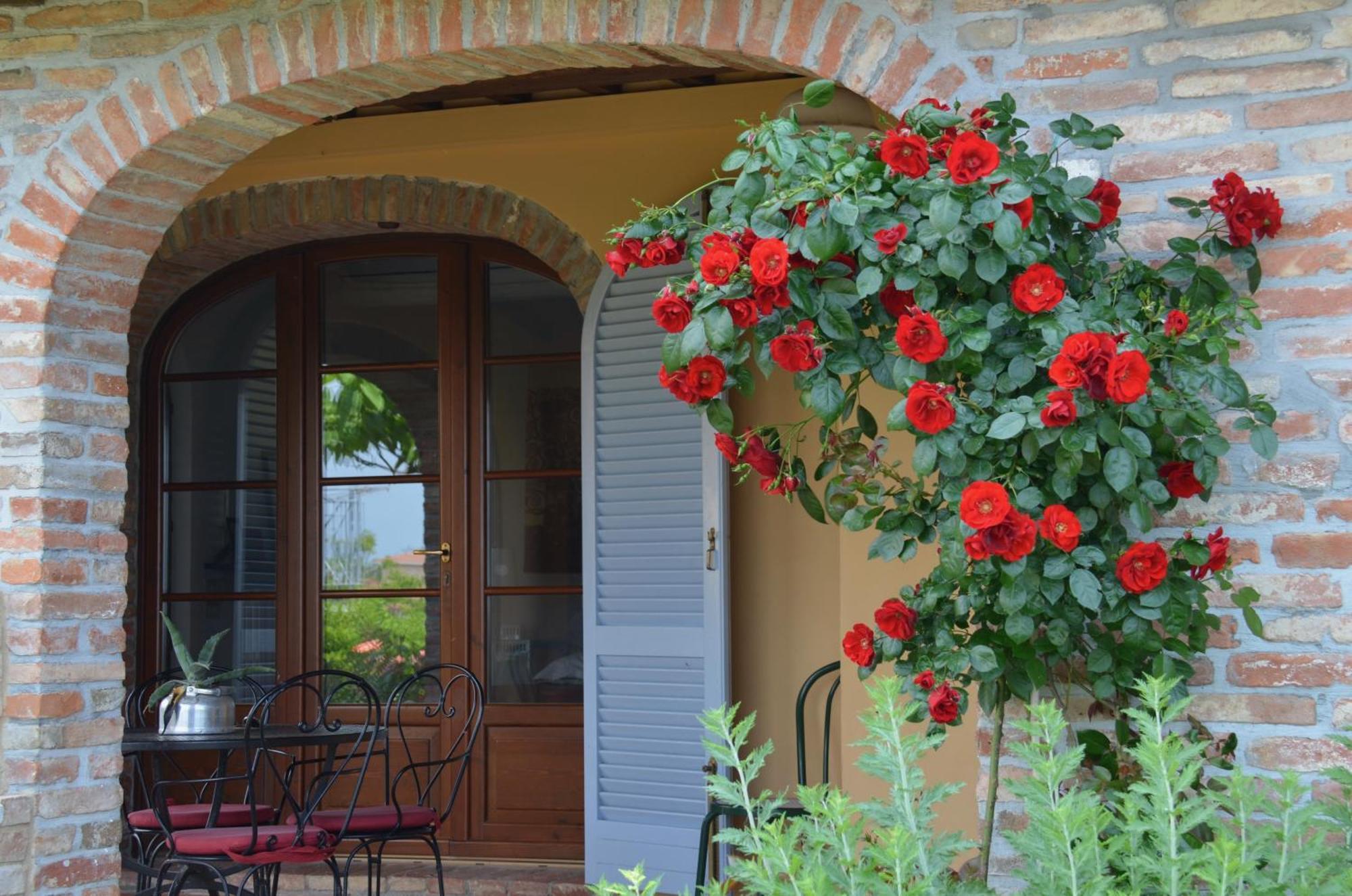 Ferienwohnung Casa Magnolia Terricciola Exterior foto