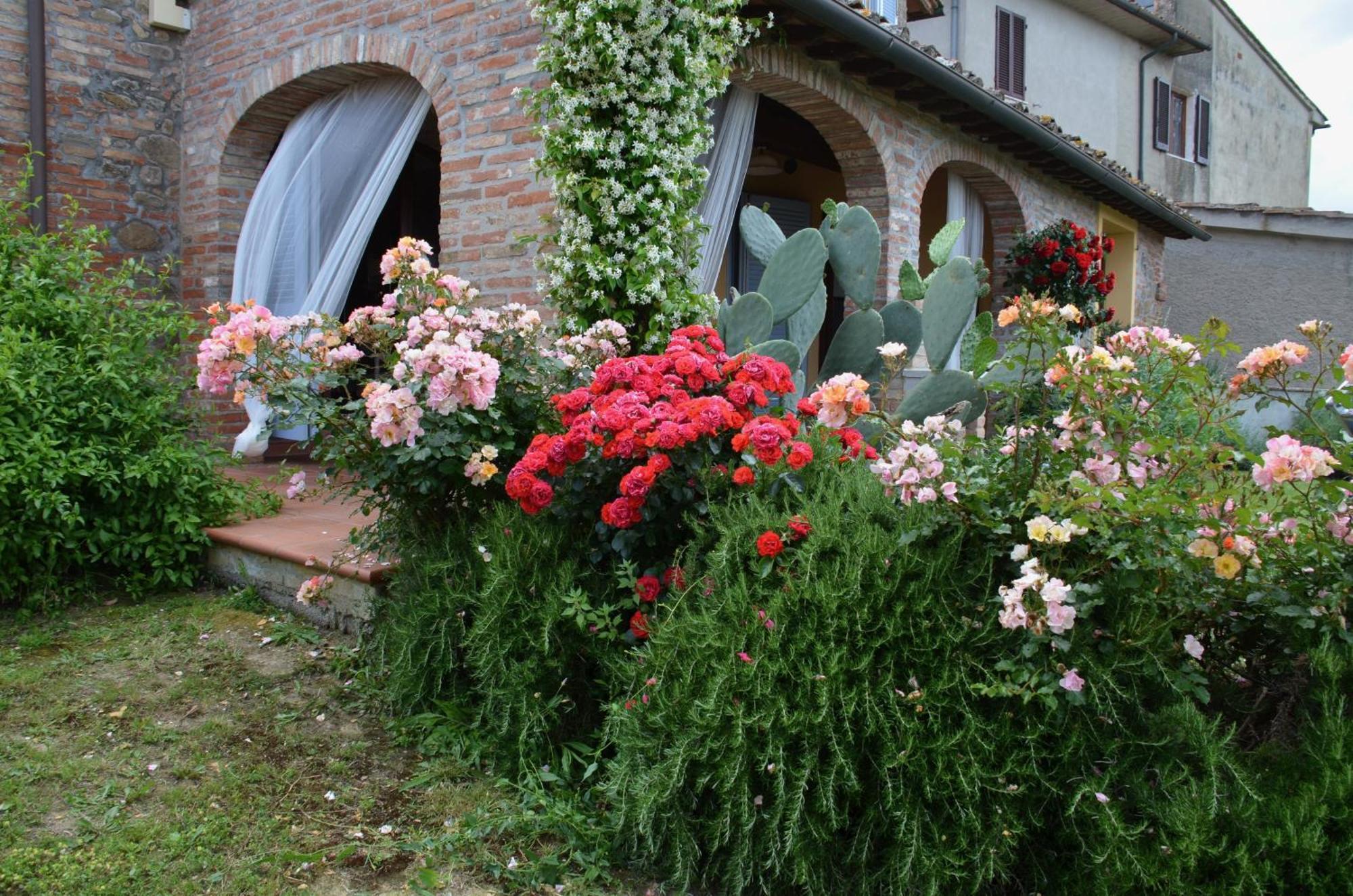 Ferienwohnung Casa Magnolia Terricciola Exterior foto